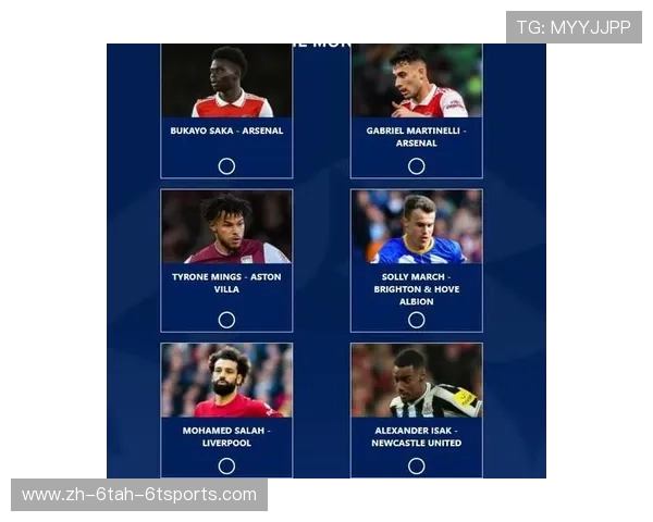 历届PFA英超最佳球员名单与赛季表现解析