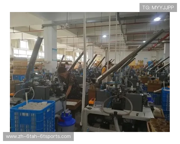 羽毛球判罚设备