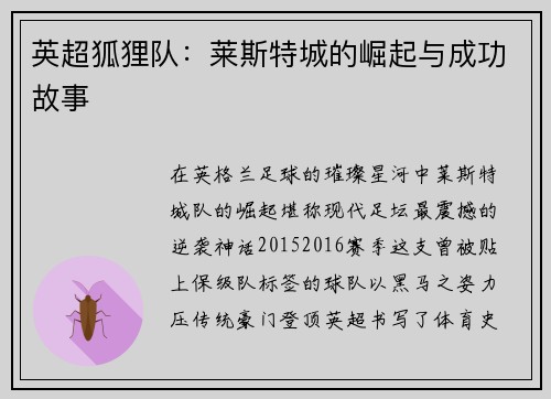 英超狐狸队：莱斯特城的崛起与成功故事