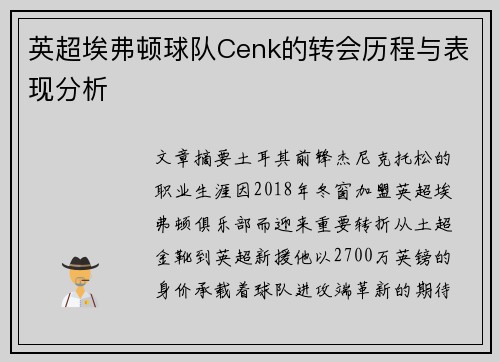 英超埃弗顿球队Cenk的转会历程与表现分析