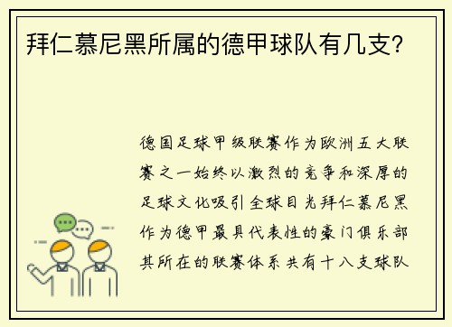 拜仁慕尼黑所属的德甲球队有几支？